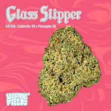 Photograph of product: Glass Slipper - 2.83g