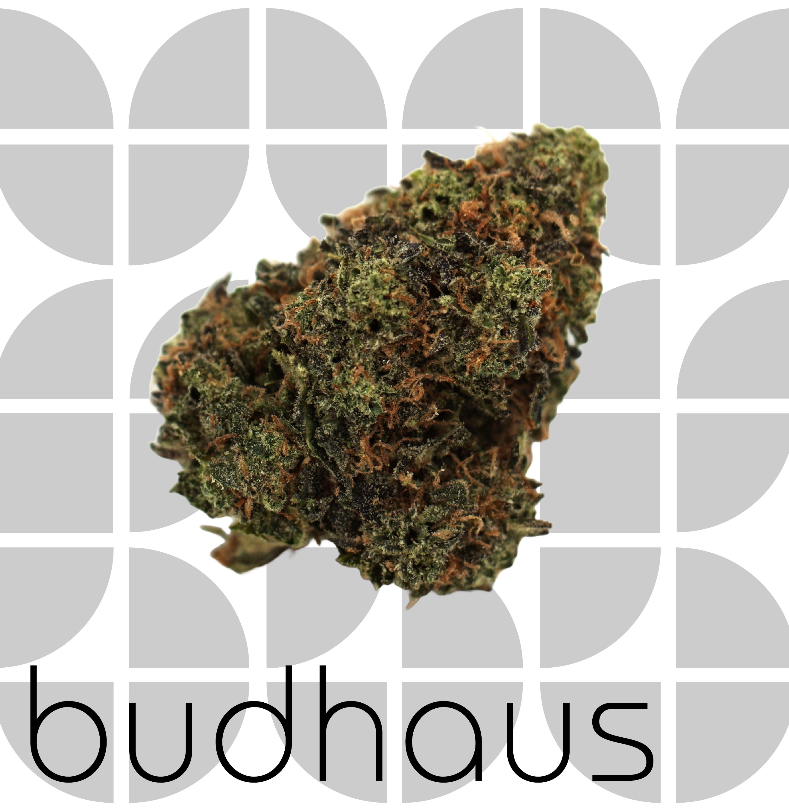 Photograph of product: GrandBand - Bud - 1g