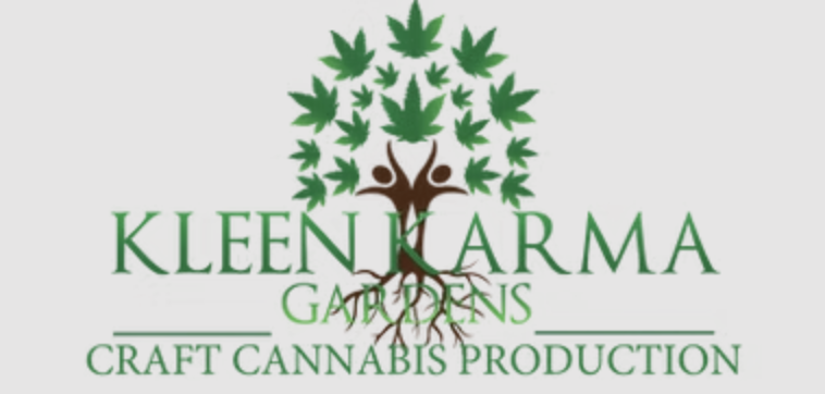 Photograph of product: Kleen Karma Pre-Roll 2pk | Memory Loss (S)