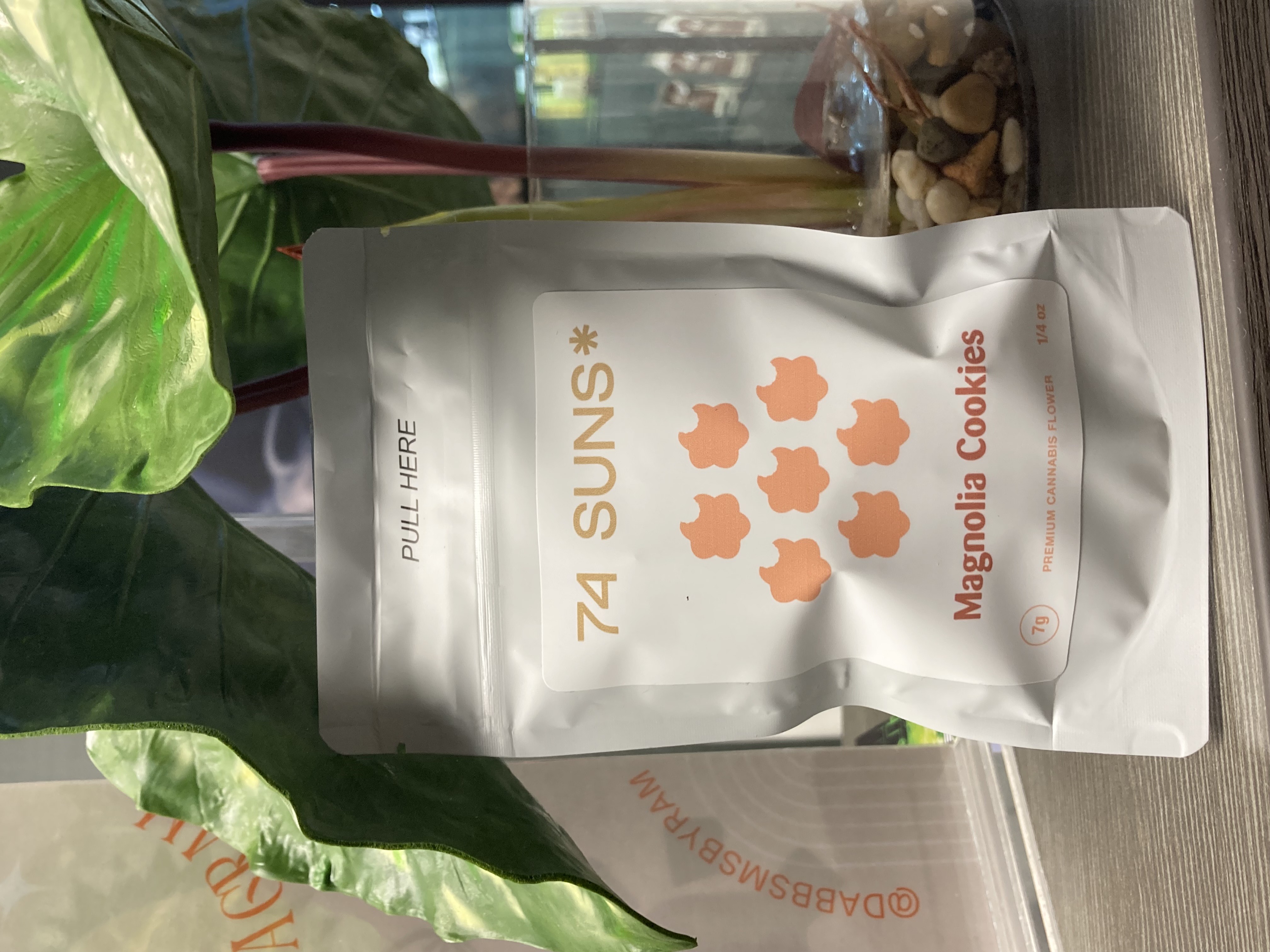 Photograph of Product: 74 Suns | 7g | Magnolia Cookies