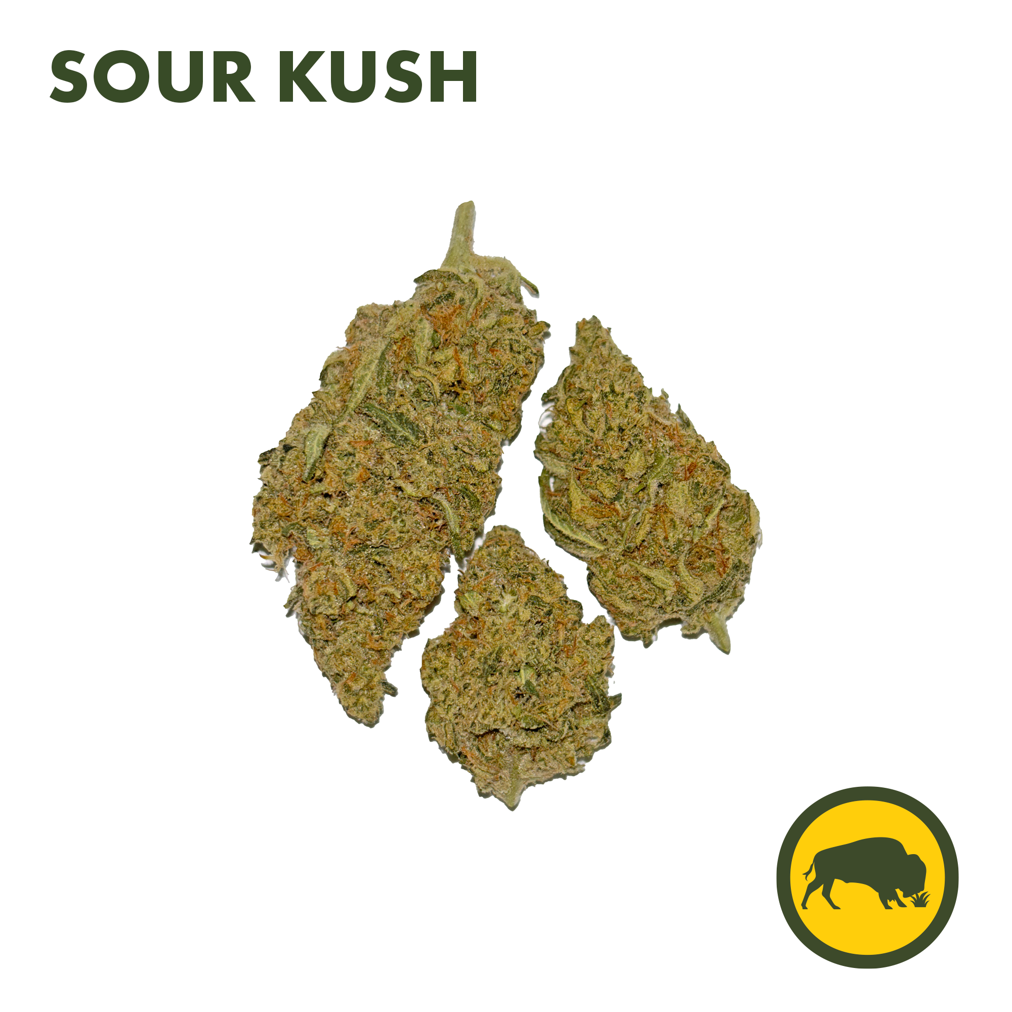 Photograph of product: Bison Bot - Flower - Sour Kush (I) - 3.5g