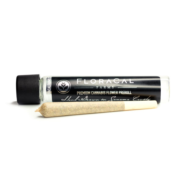 Photograph of product: 1g Gastro Pop (Hybrid) Indoor Pre-roll TH-oui:27% $10 or 2/$15