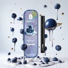 Photograph of product: Dompen - Midnight Berry Disposable (1g)