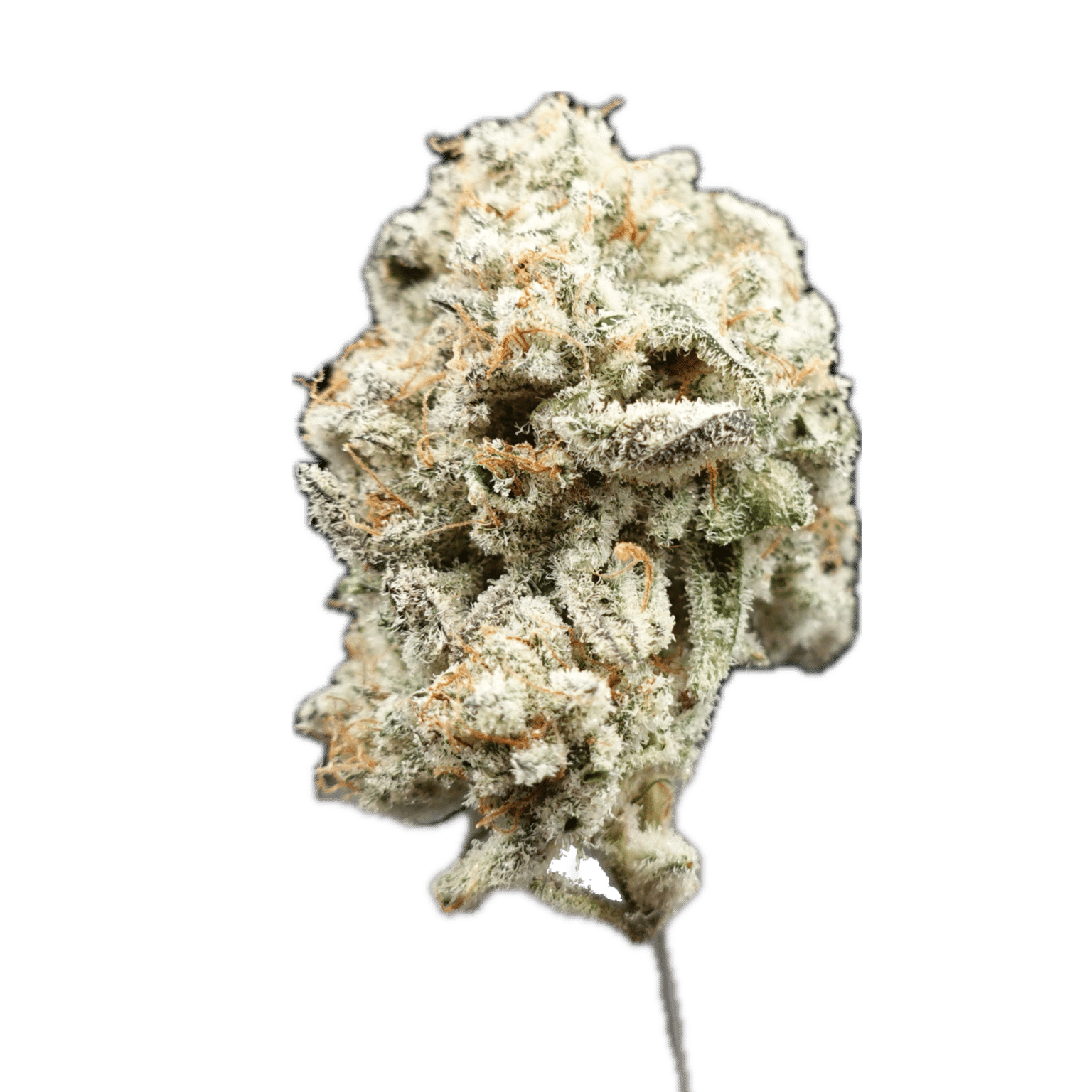 Photograph of product: Emerald Visions Black Truffle - 3.5g