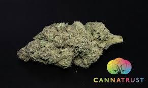 Photograph of product: Gush Mints Flower Hybrid 14G - 