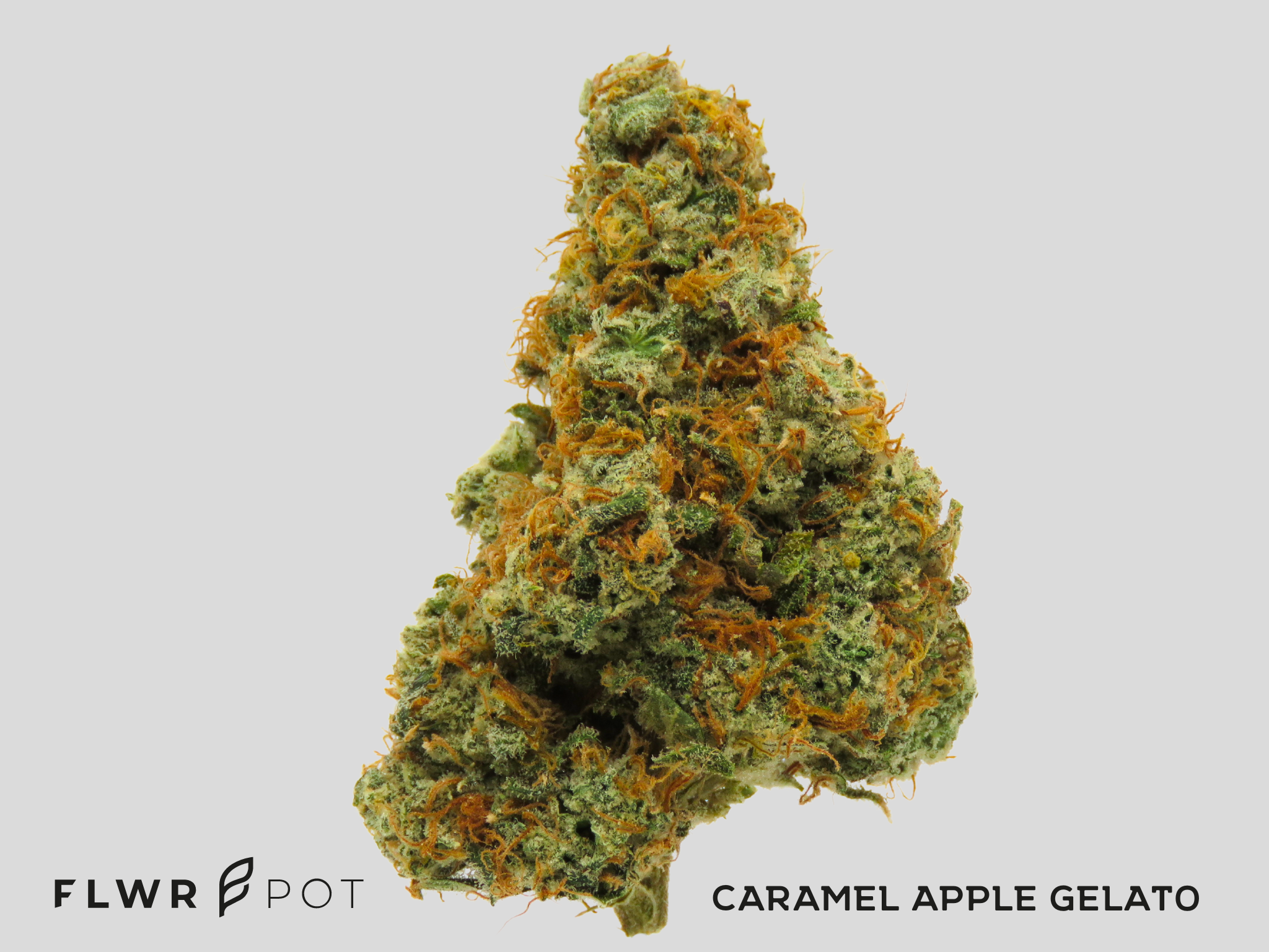 Photograph of product: Caramel Apple Gelato - 70g