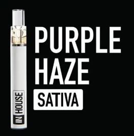 Photograph of product: Purple Haze Disposable | In House