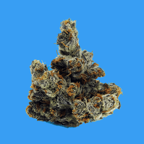 Photograph of product: Buoyant Bob - Winter Sunset #4 - 3.5g