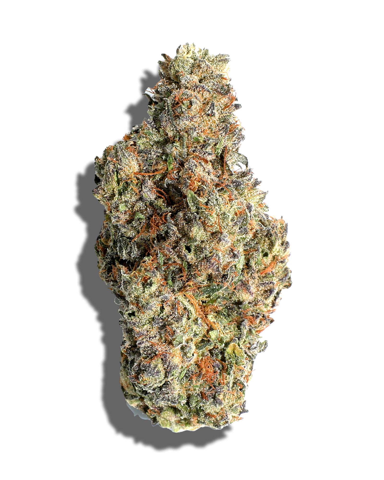 Photograph of product: Apple Fritter 3.5g