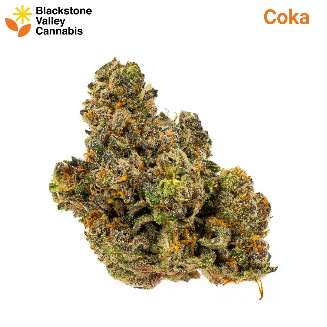 Photograph of product: Coka | - 28g