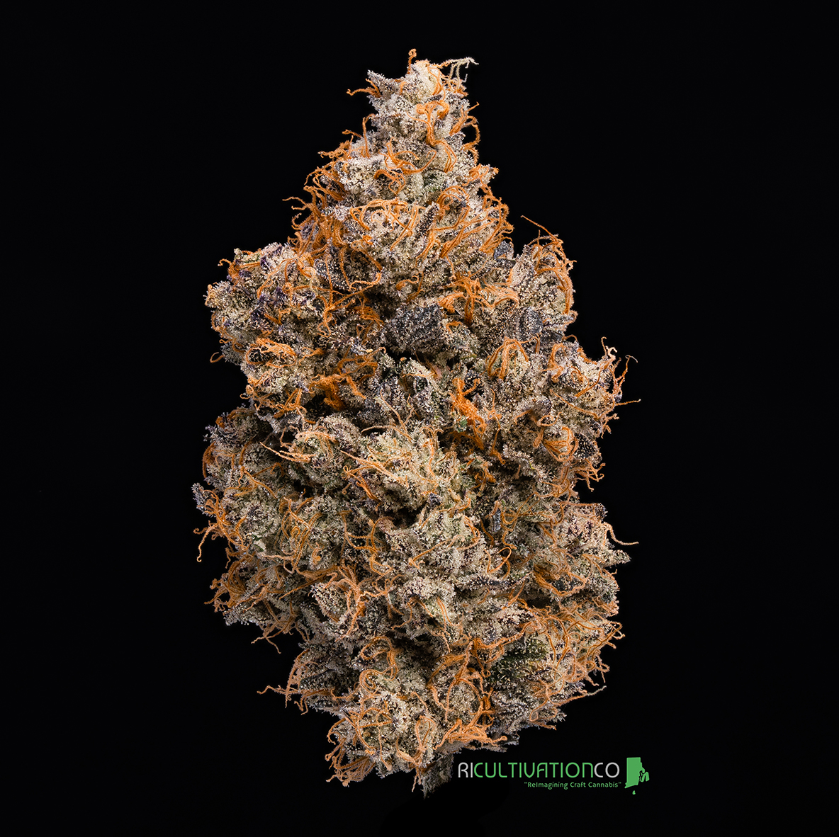 Photograph of product: Gary Payton | 3.5g