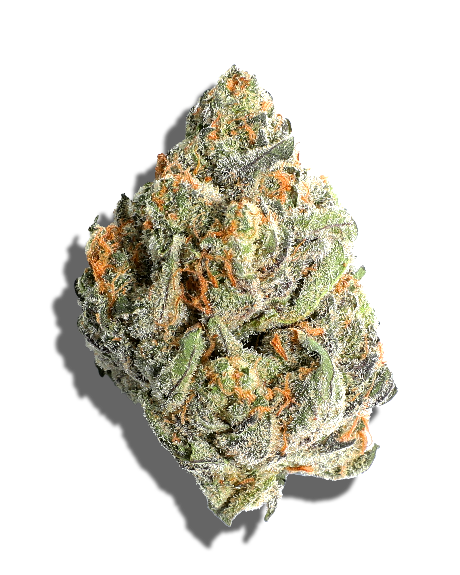 Photograph of product: Glitter Tree 3.5g
