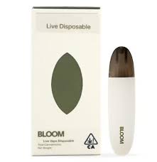 Photograph of product: Bloom Surf Rainbow Z 1g LR All In One Vape