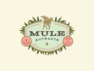 Photograph of product: Peachy Gummy Mule