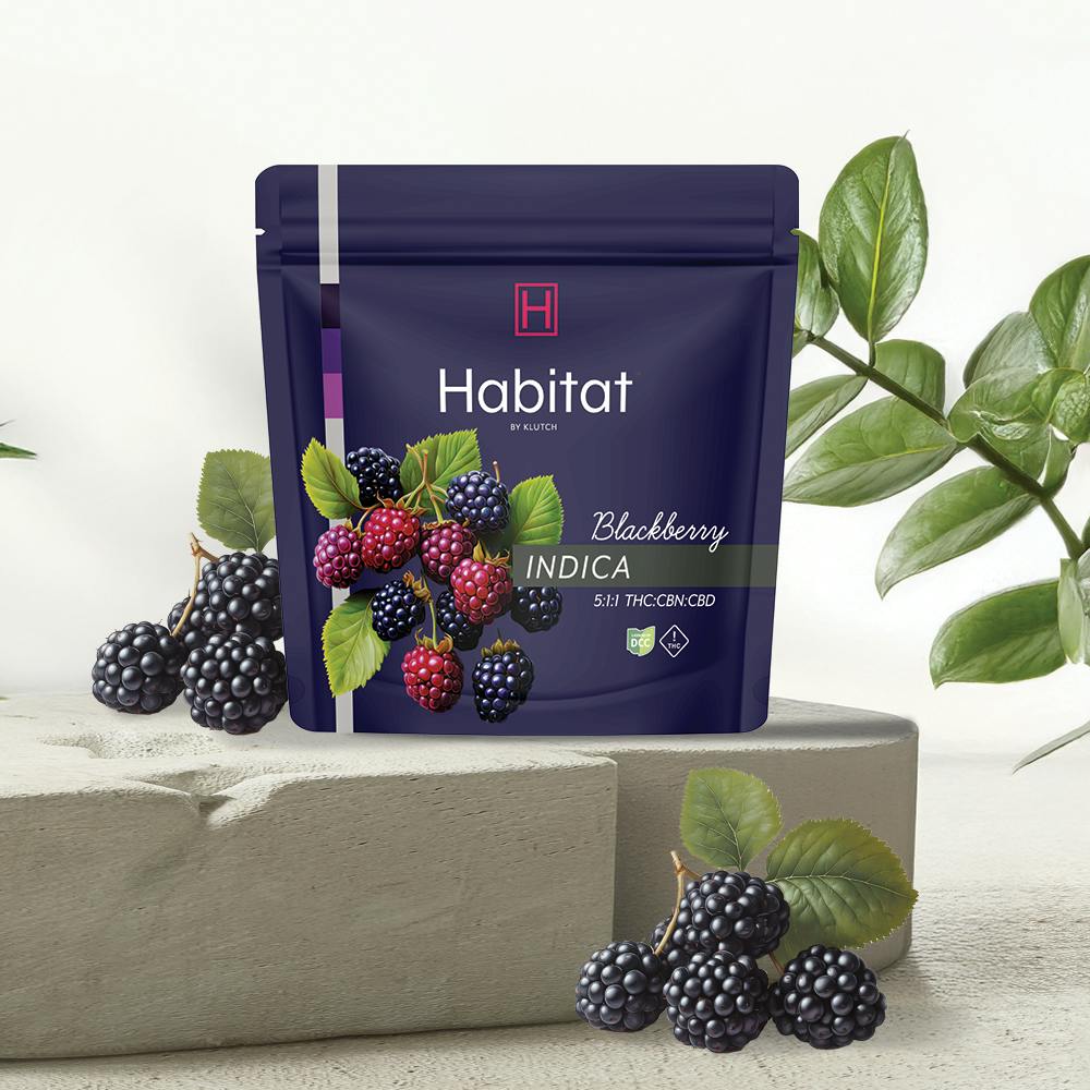 Photograph of product: | Blackberry 5:1:1 (TH-oui:CBD:CBN) Oui'd Gummies | - 