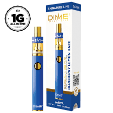 Photograph of product: DIME INDUSTRIES BLUEBERRY LEMON HAZE 1G AIO