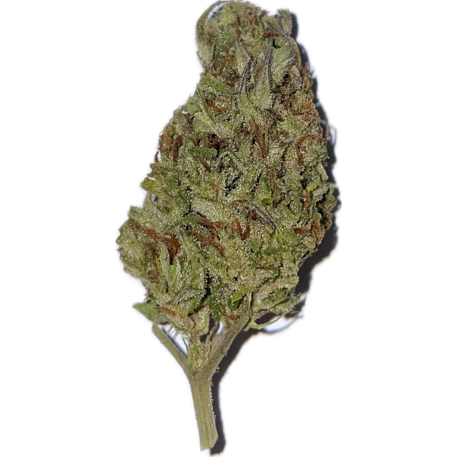Photograph of product: Ice Cream Cake - 3.5g