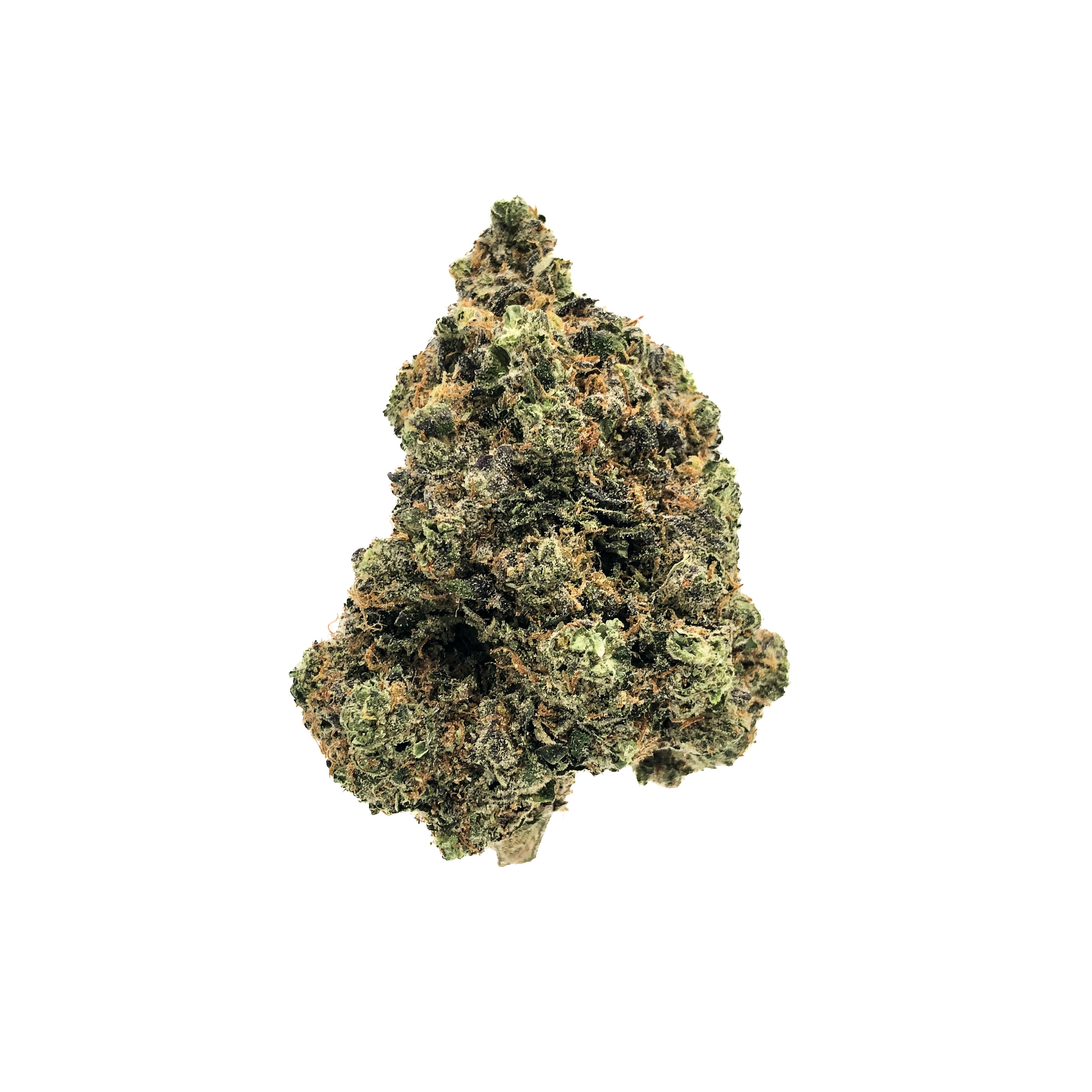 Photograph of product: Mandarin Cookies |  | Fresh Packed - 7g