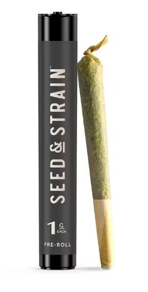 Photograph of product: POIZON MINTZ | 1G | PRE-ROLL
