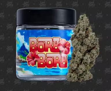 Photograph of product: Seed Junky Genetics - Bora Bora - 1g Pre Roll