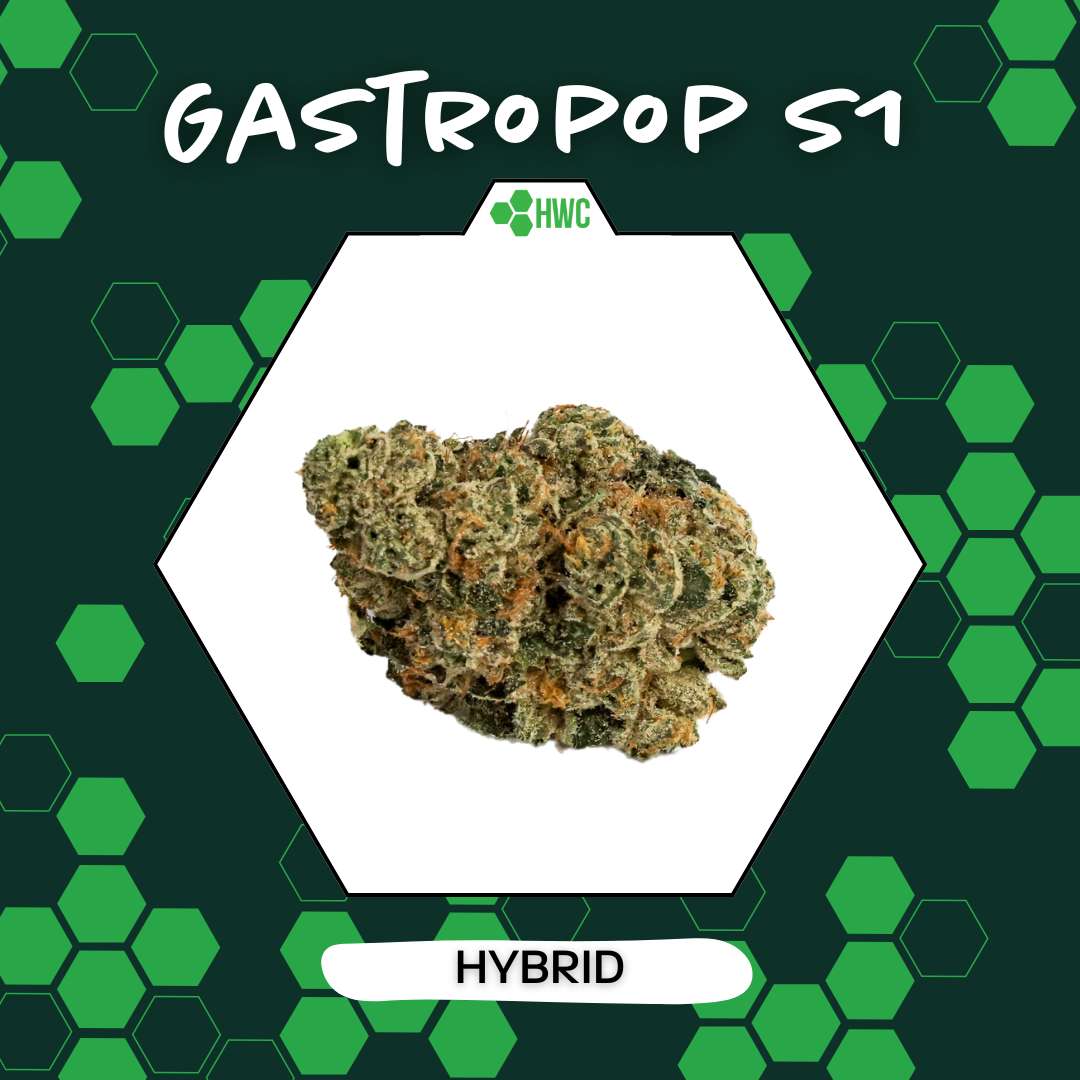 Photograph of product: Gastropop S1 - 14g Smalls