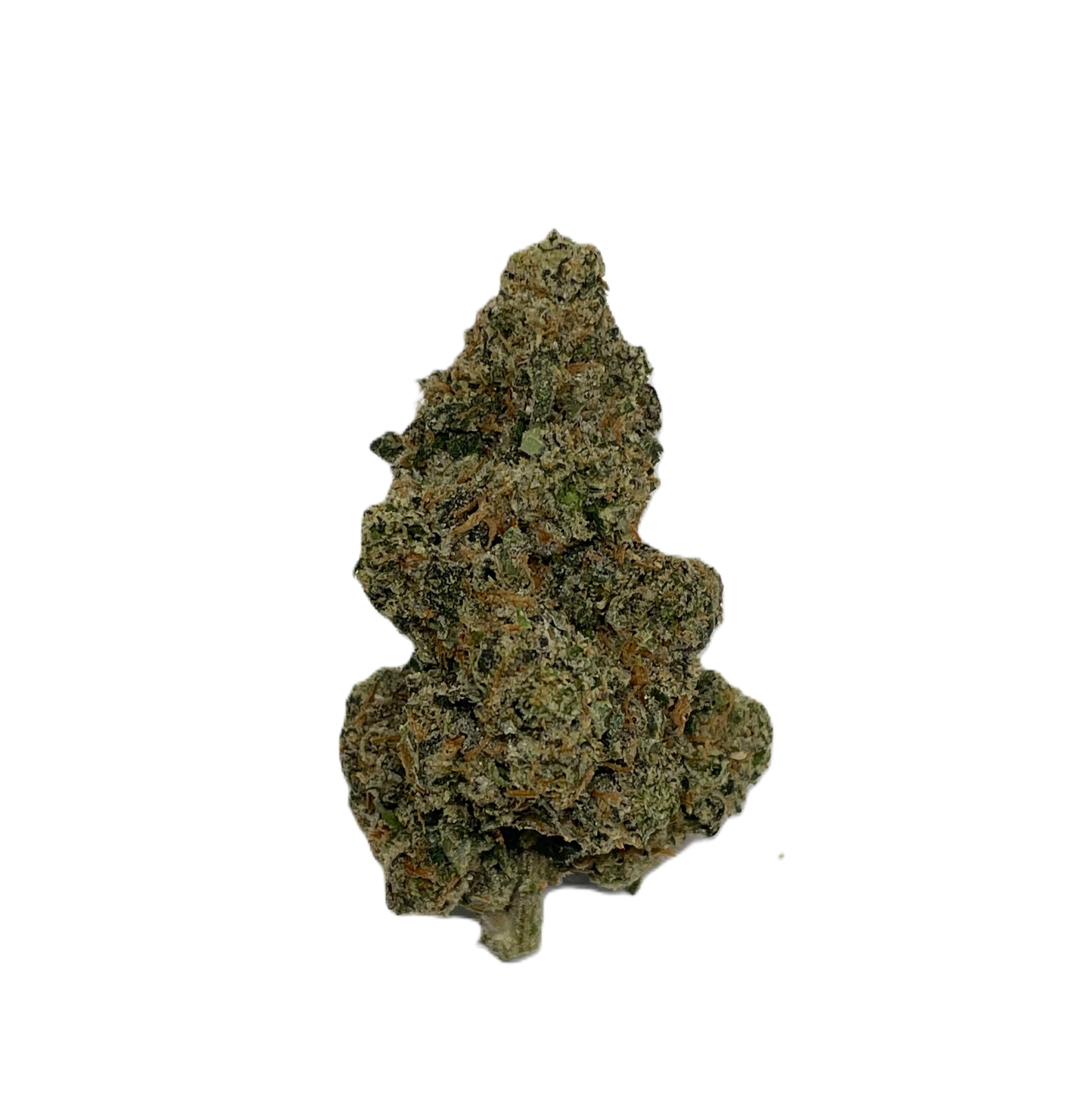 Photograph of product: Plant Nerd - Platinum Pave (Buds) - 1g
