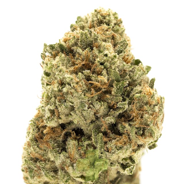 Photograph of product: Papaya Punch, SG - Eighth