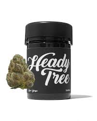 Photograph of product: Da Yayo (S) Heady Tree - 3.5g