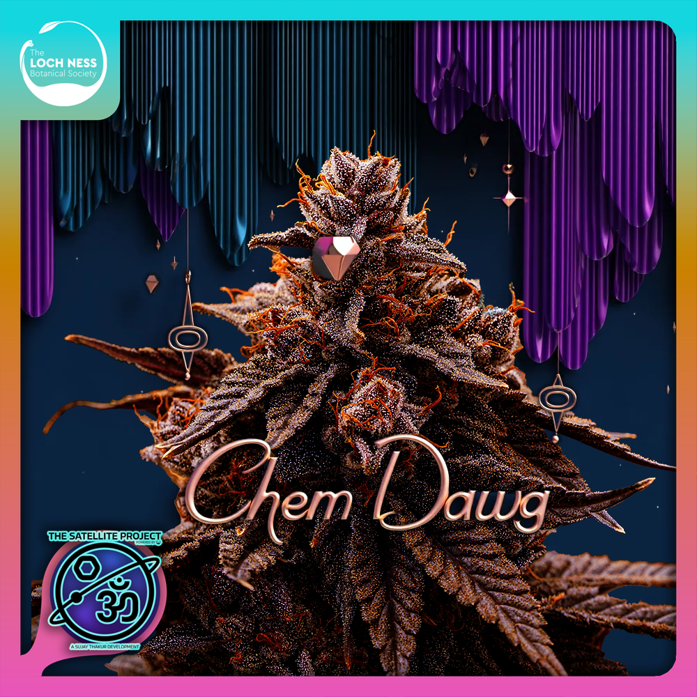 Photograph of product: Chem Dawg - Flower - 1g