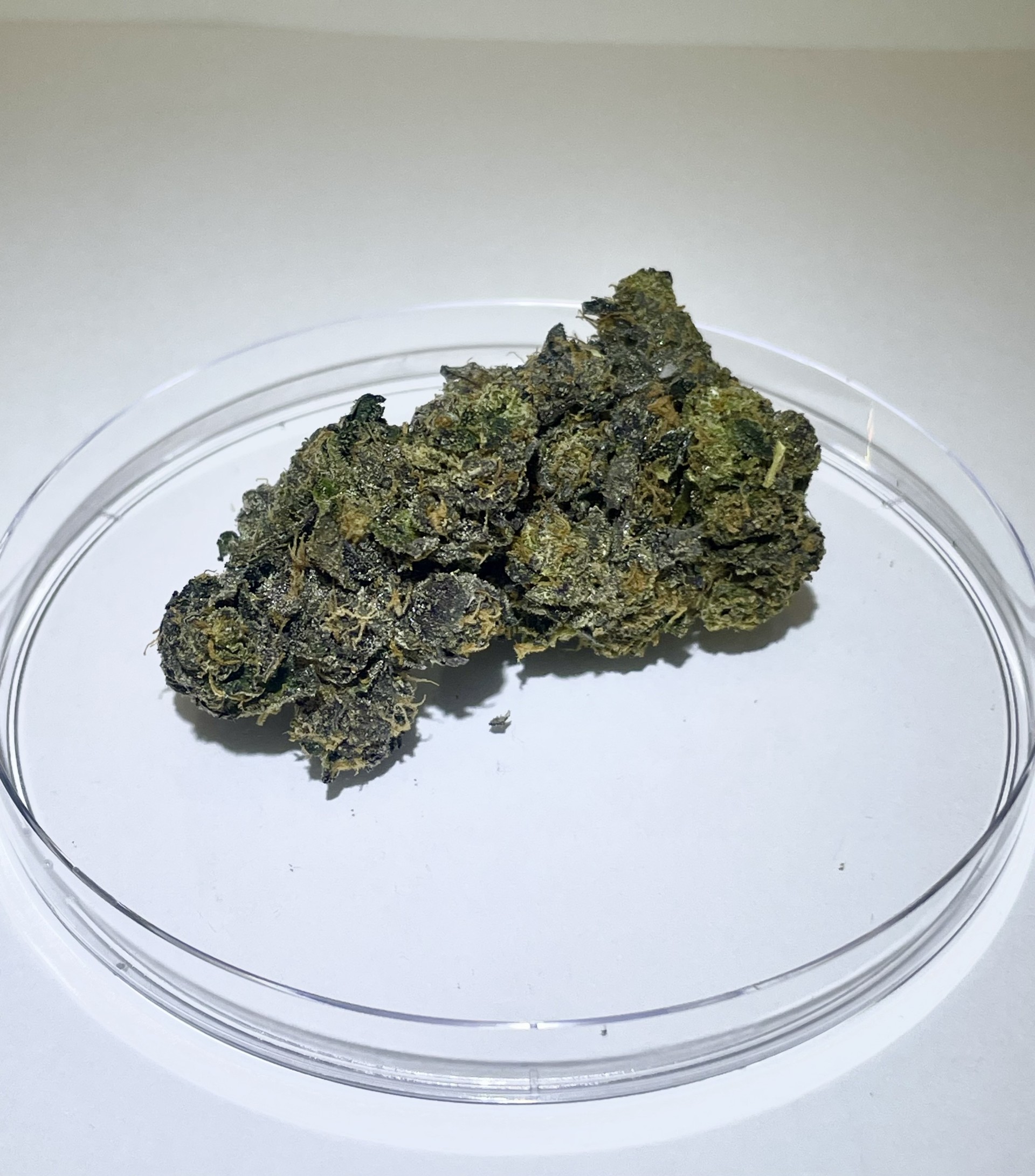 Photograph of product: College Park - 28g
