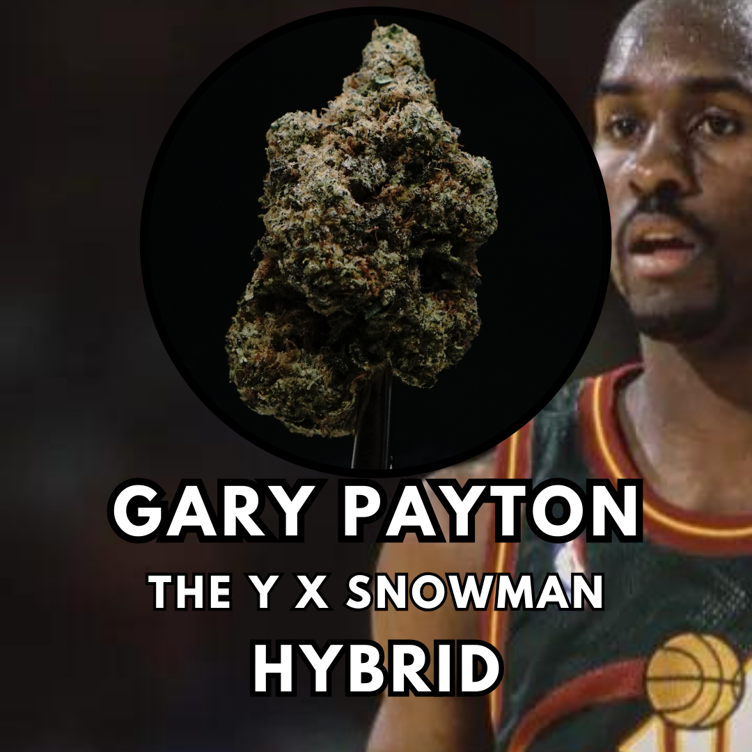 Photograph of product: Flower - Gary Payton - Top Shelf (Bldr) - 28g