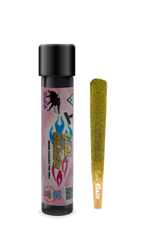 Photograph of product: Bubblegum Tarantula | Infused Pre Roll | 1g (I)