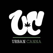 Photograph of product: Flower - $10.5 Yummy Yummy (Urban Canna) - 1g