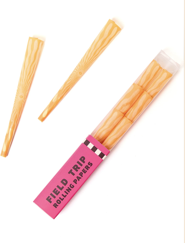 Photograph of product: Field Trip Printed Cones  | 6 Pack | Sunny
