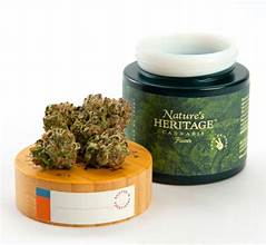 Photograph of product: Natures Heritage Orange Chemeleon - 3.5g
