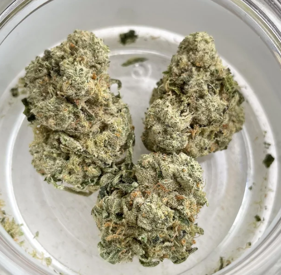 Photograph of product: RYTHM - ANIMAL SCOUT (3.5G) (IH)