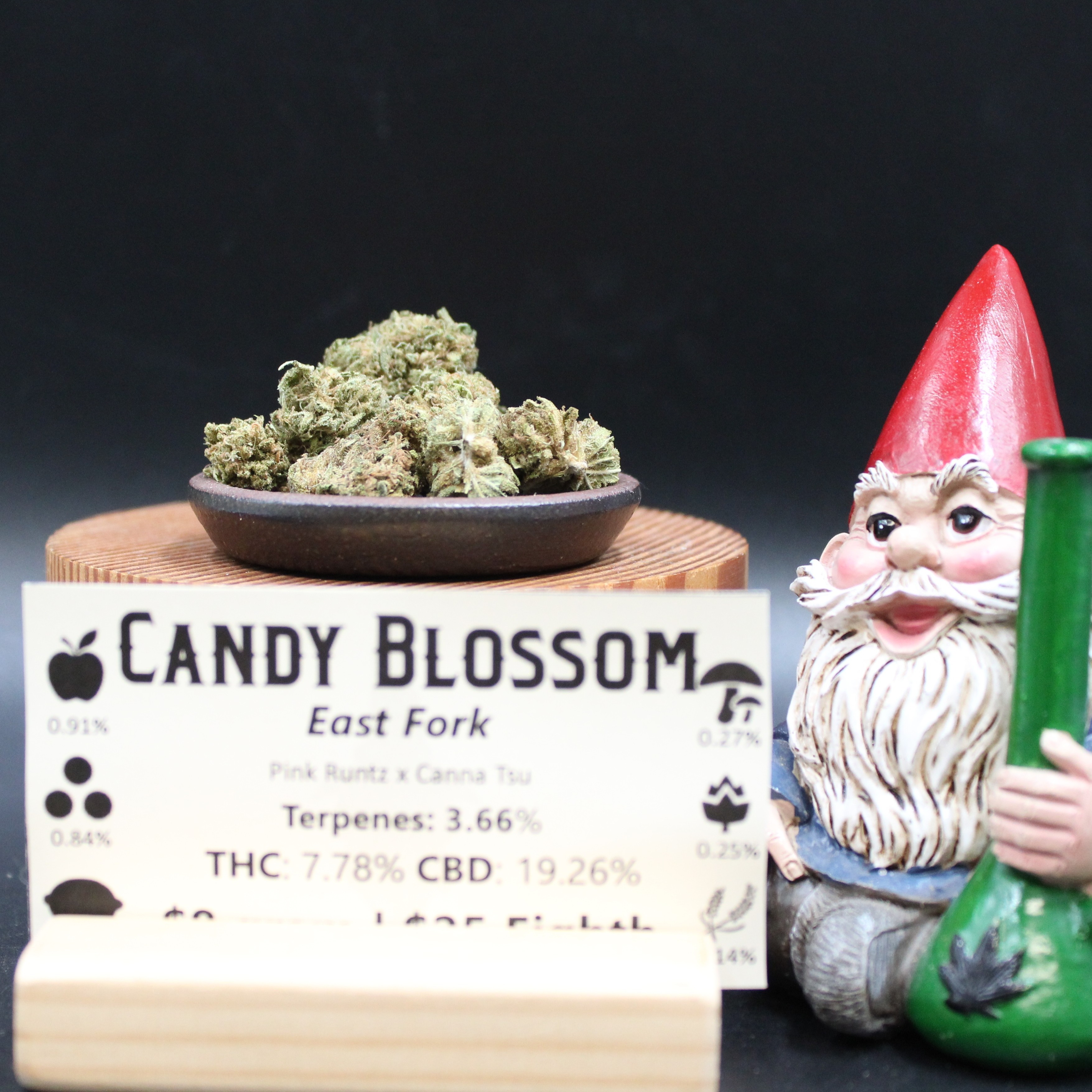 Photograph of product: Candy Blossom