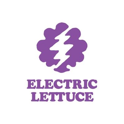 Photograph of Product: Electric Lettuce Dot Tray