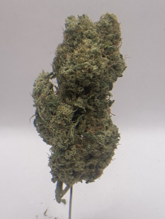 Photograph of product: Makru | Oui'd | Mt. Hood Magic - 28g