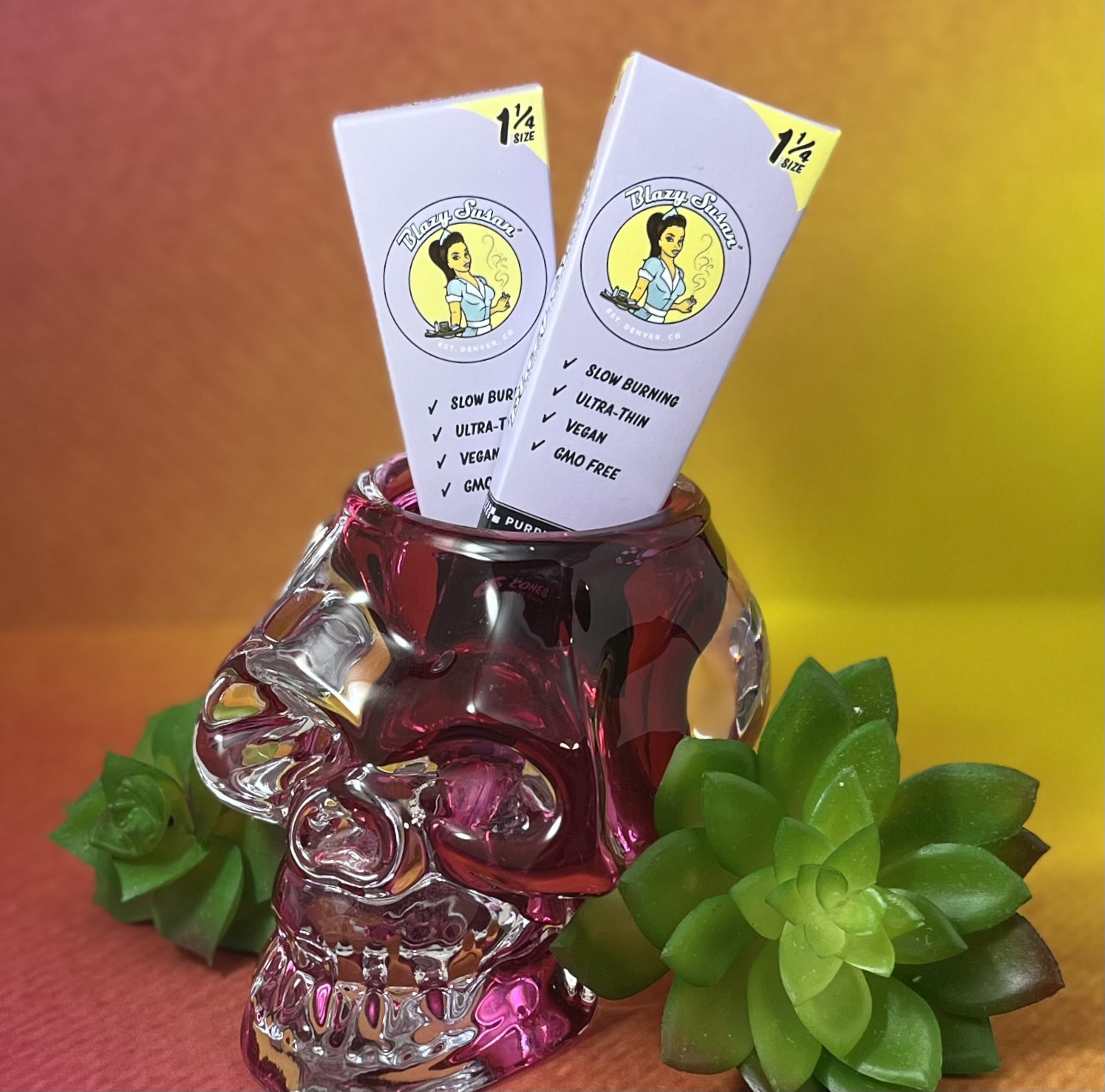 Photograph of product: Blazy Susan Purple Cones 1 1/4 6pk