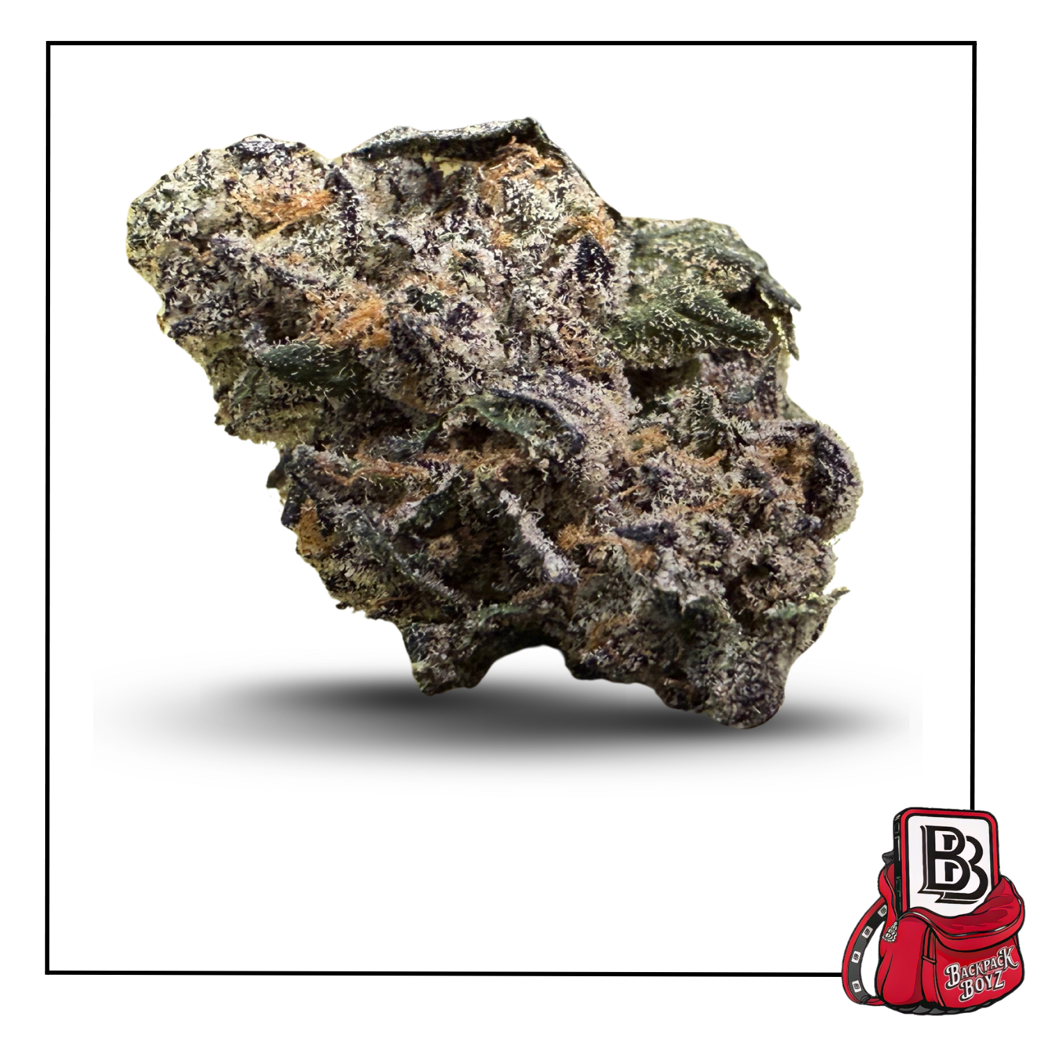 Photograph of product: Sherb Cream Pie #13 - Bulk Flower - 28g