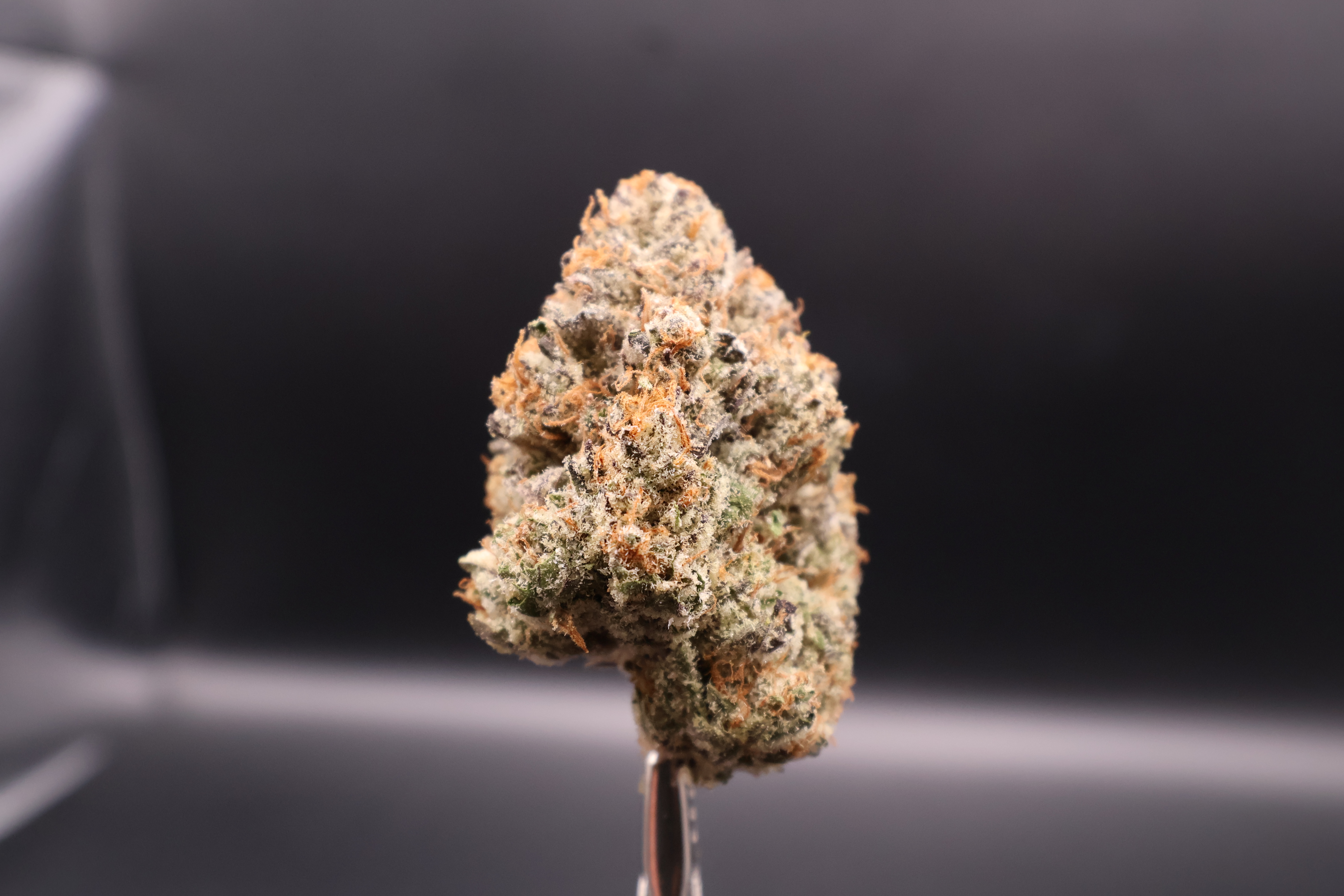 Photograph of product: Zelephant (Eastwood) - 28g