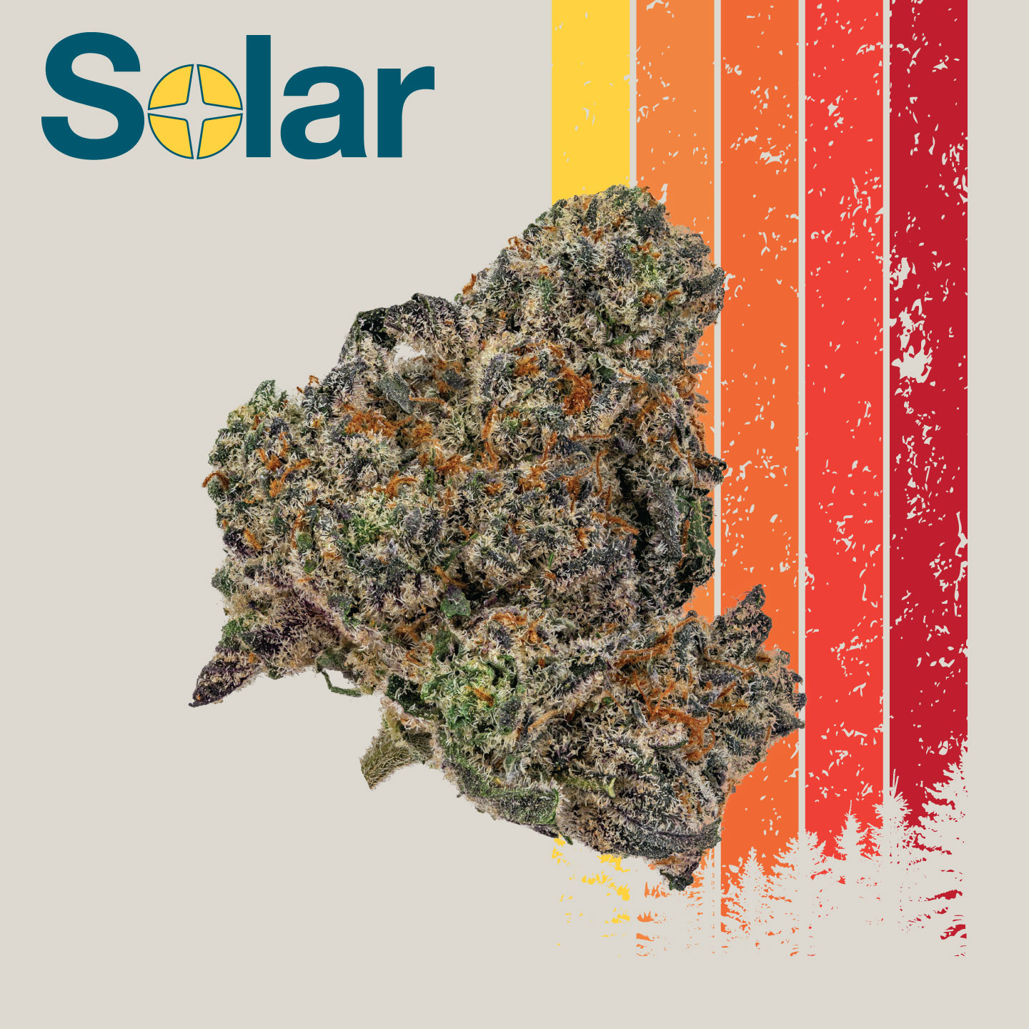 Photograph of product: Jellylicious | Solar - 3.5g