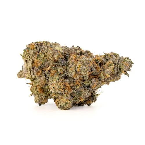 Photograph of product: Bud & Mary's | Bulk Bud - Shady Apples (Smalls) - 28g