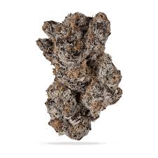Photograph of product: Trivium | Pure Michigan | Bulk Flower - 28g