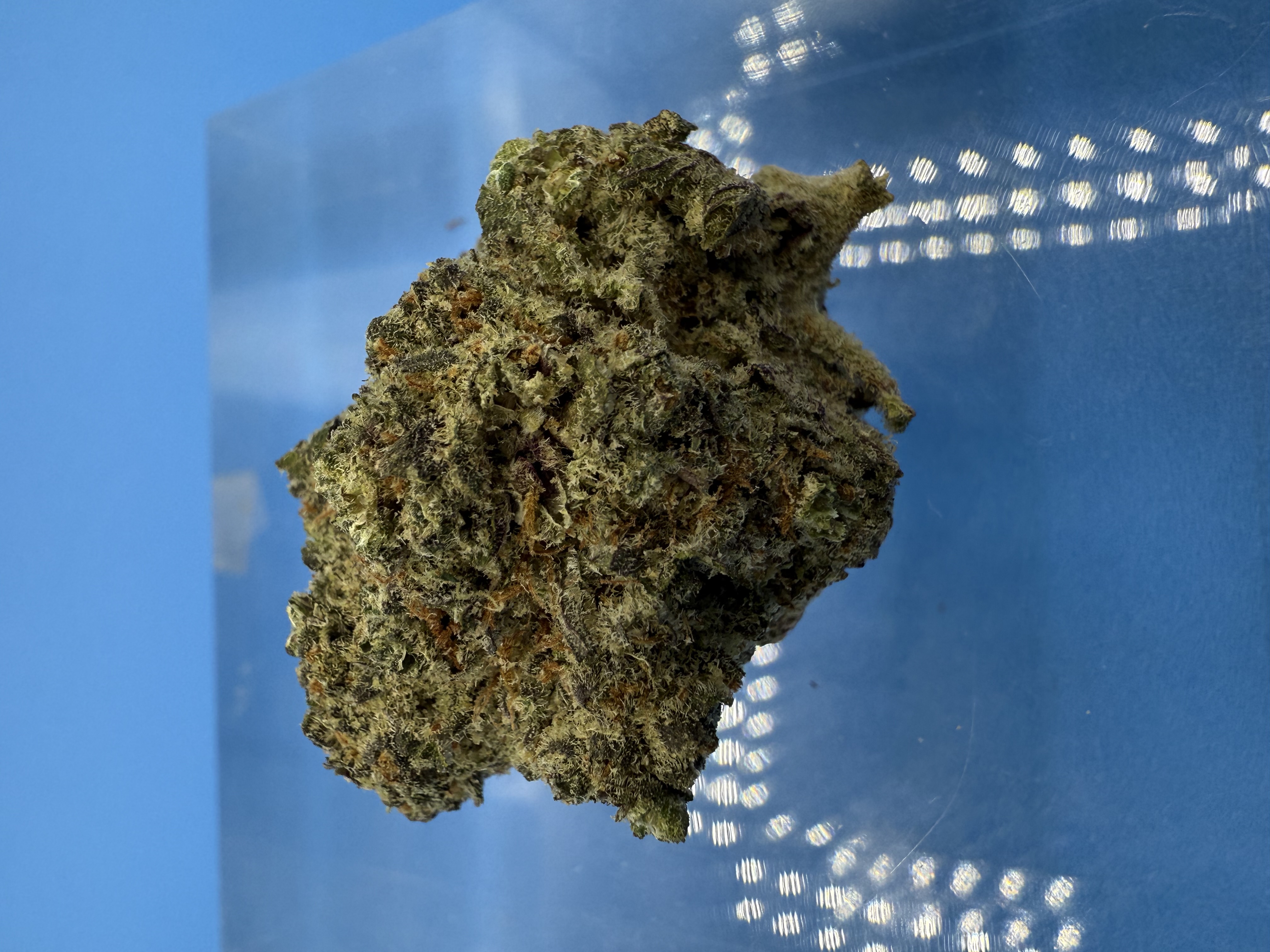Photograph of product: Stoned Fruit Stinger Flower - 3.5g