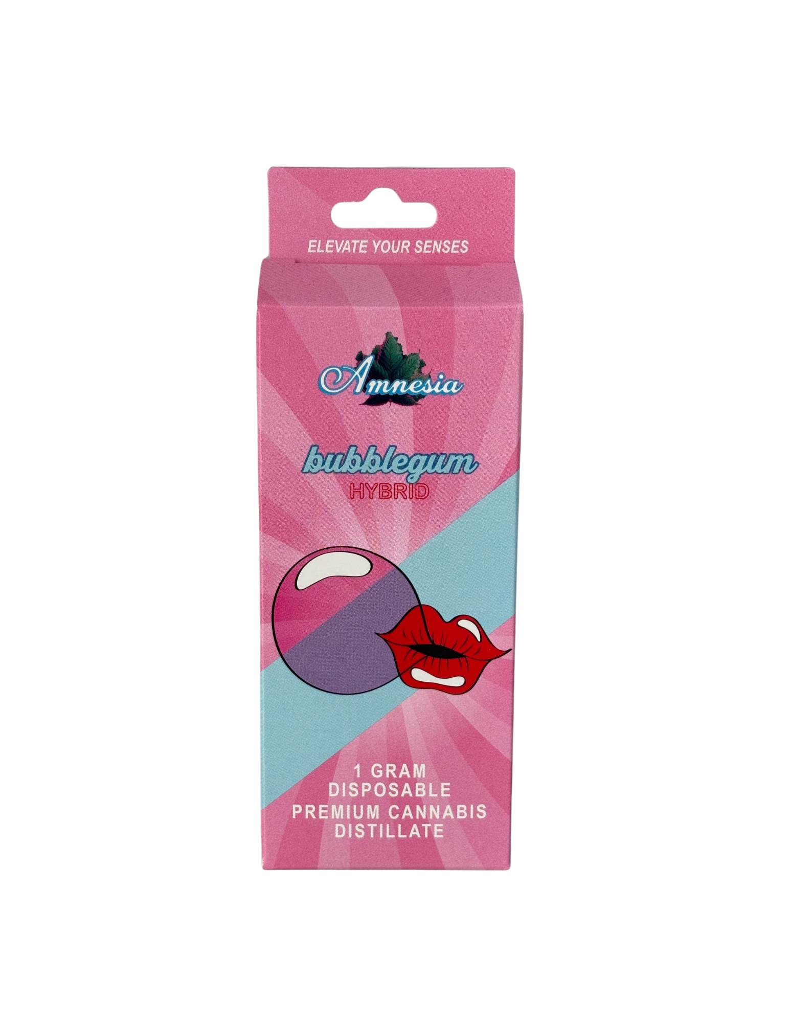 Photograph of product: Amnesia - Blueberry Pancake Disposable