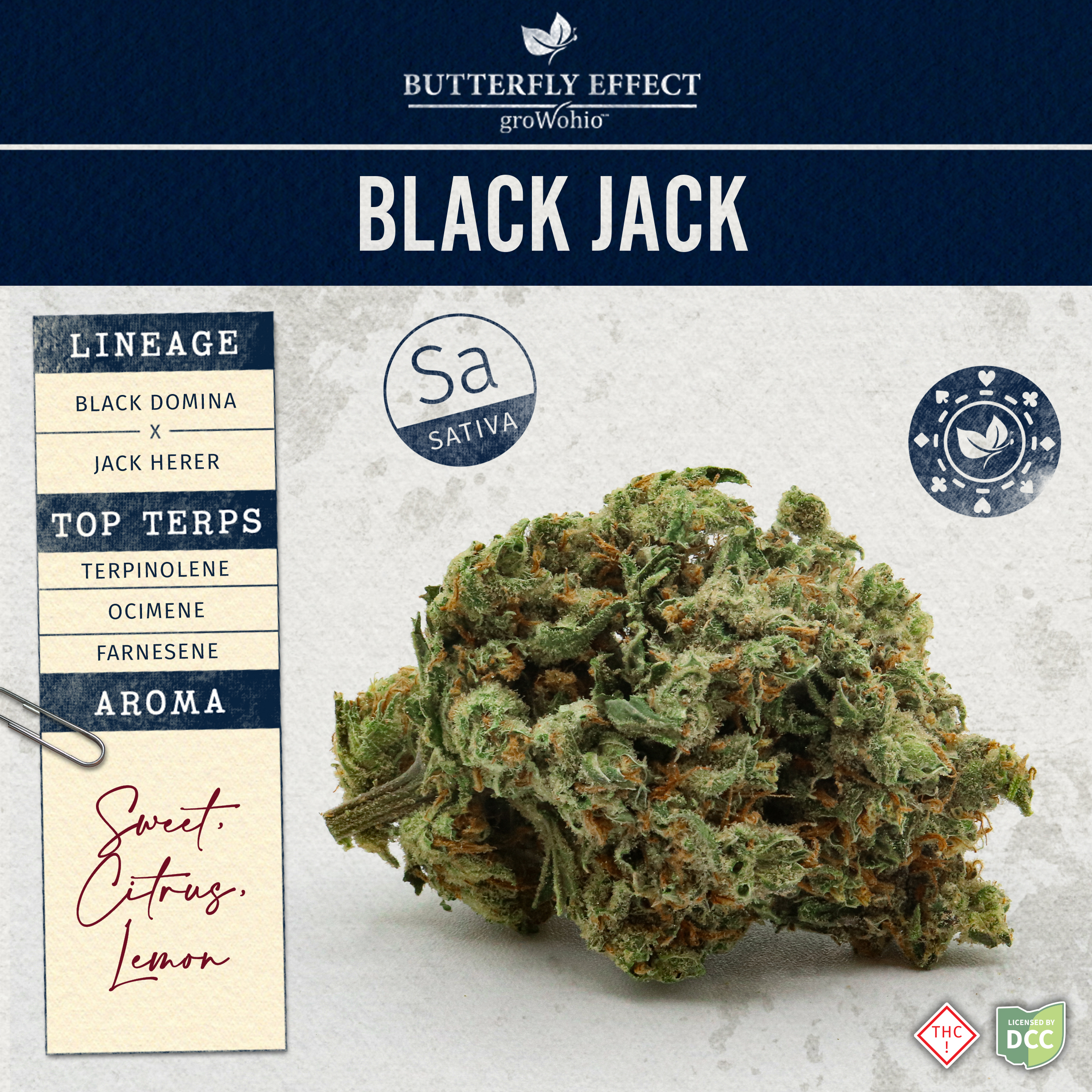 Photograph of product: Black Jack | 2.83g