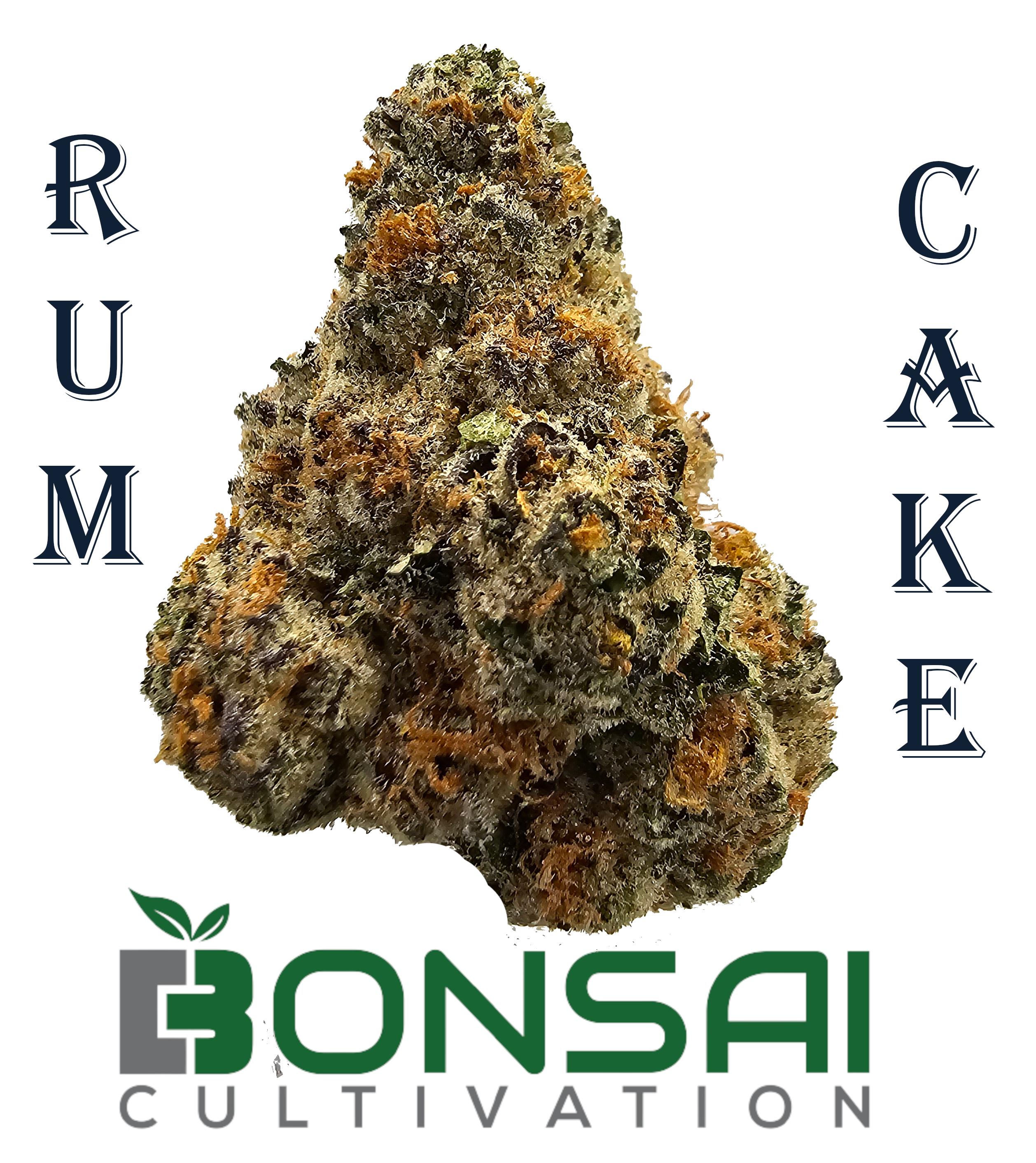 Photograph of product: Rum Cake (H) By Bonsai - 28g