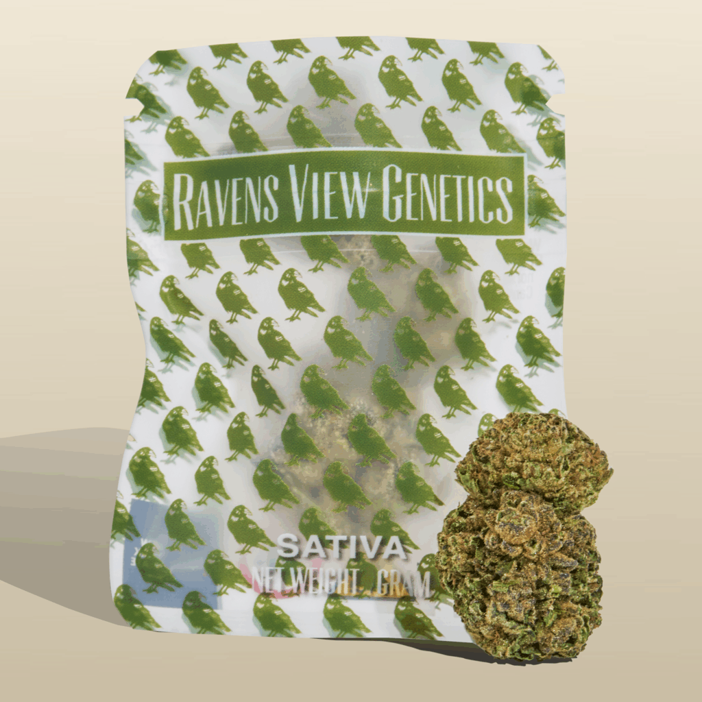 Photograph of product: Squirt - Flower - Raven's View Genetics - 1g